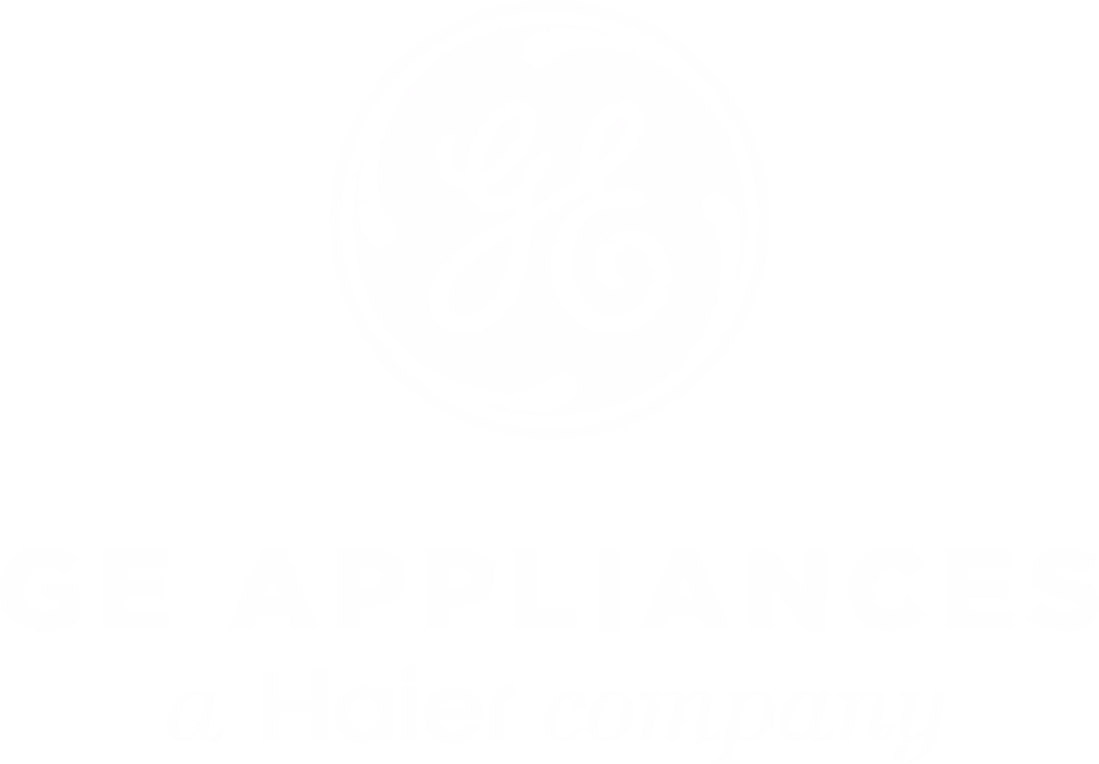 GE Appliances